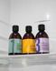 Шампунь для нормальної та жирної шкіри голови SOLUTIONS NO.1 Mini Id Hair, 300 ml 10150010003 фото 3