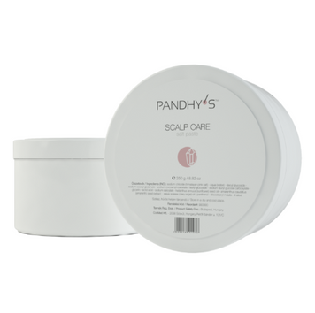 Паста-скраб для проблемної шкіри голови Pandhy's Scalp Care Salt Paste, 250 г 1377736077 фото